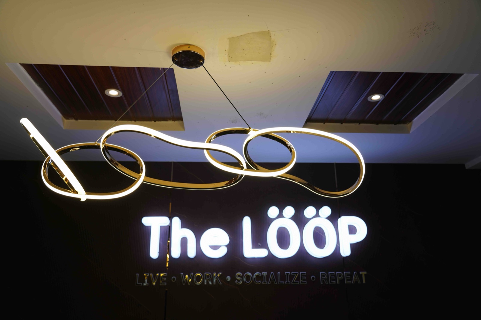 Why We Started - The LÖÖP
