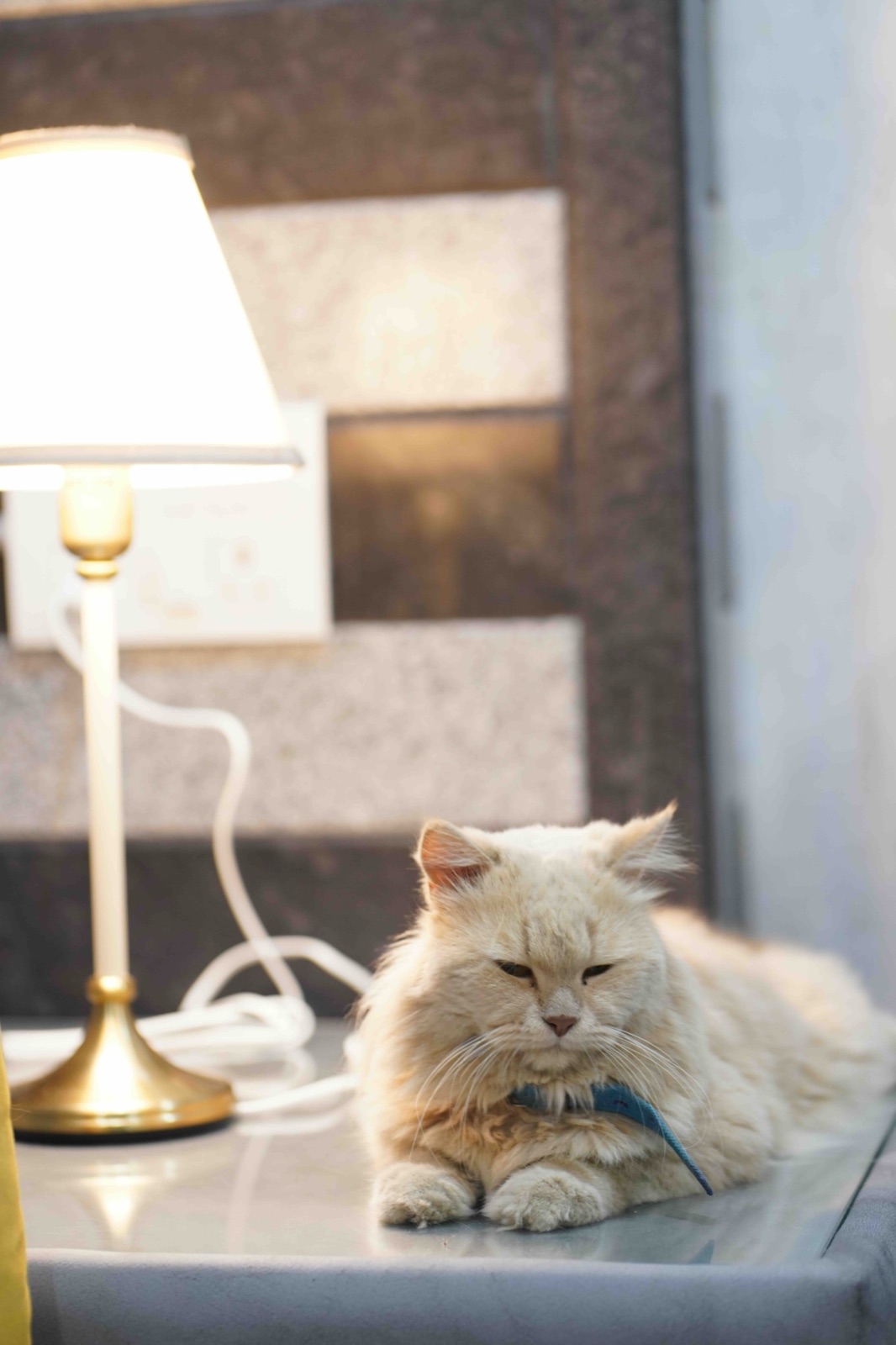 Life at The LÖÖP